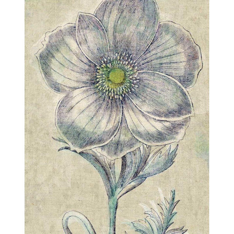 Belle Fleur II Crop Linen Gold Ornate Wood Framed Art Print with Double Matting by Schlabach, Sue