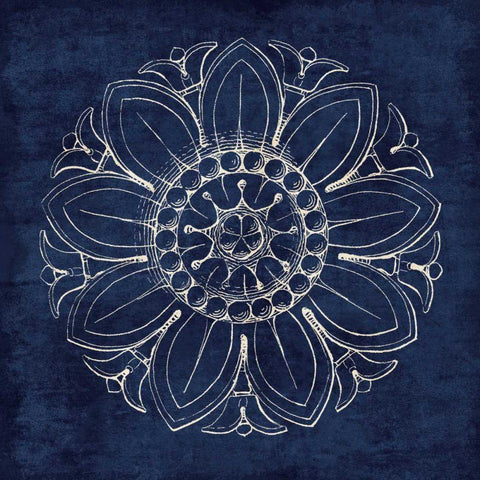 Rosette VII Indigo Black Modern Wood Framed Art Print by Wild Apple Portfolio