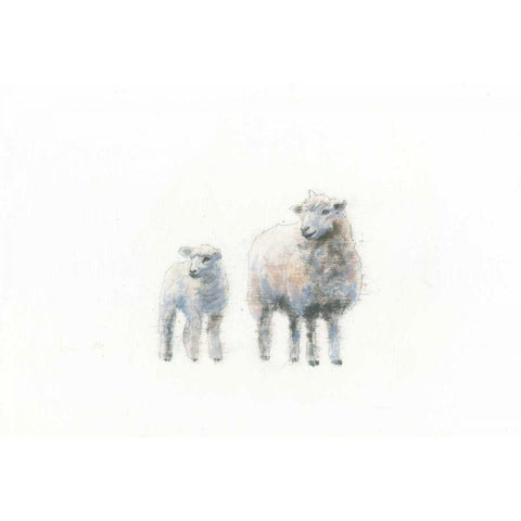 Sheep and Lamb Black Modern Wood Framed Art Print with Double Matting by Adams, Emily