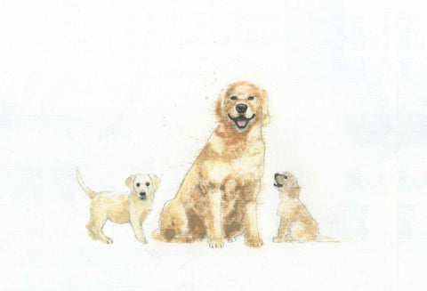 Dog and Puppies White Modern Wood Framed Art Print with Double Matting by Adams, Emily