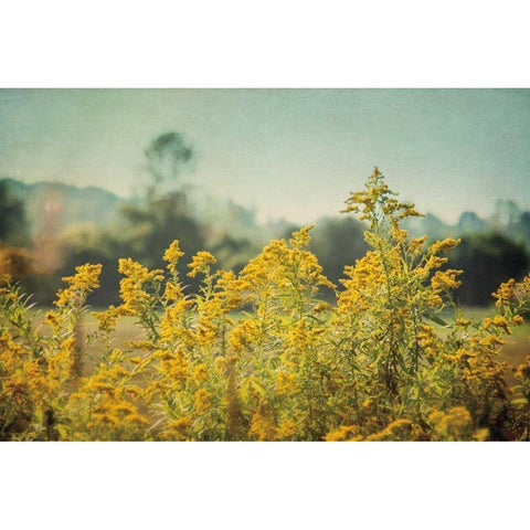 Blissful Country IV Gold Ornate Wood Framed Art Print with Double Matting by Urquhart, Elizabeth