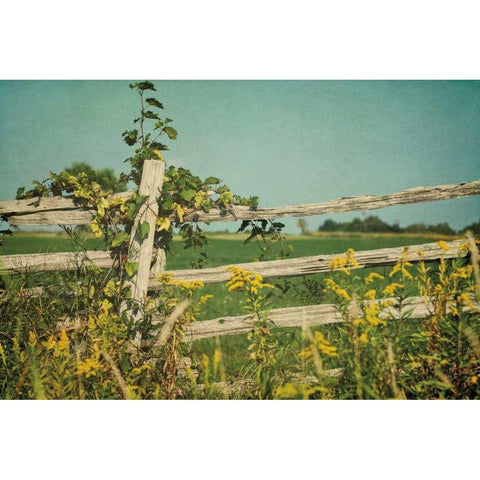 Blissful Country V Black Modern Wood Framed Art Print by Urquhart, Elizabeth