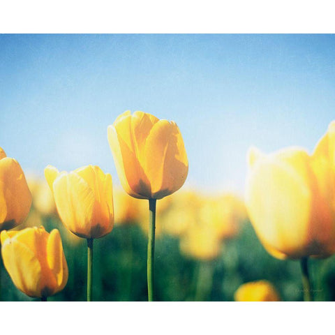 Sunny Blooms III Gold Ornate Wood Framed Art Print with Double Matting by Urquhart, Elizabeth