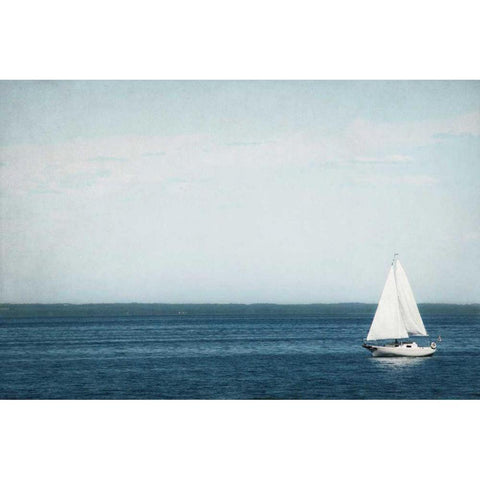 Calm Days II Black Modern Wood Framed Art Print by Urquhart, Elizabeth