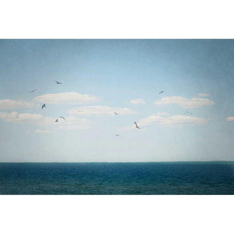 Calm Days IV Gold Ornate Wood Framed Art Print with Double Matting by Urquhart, Elizabeth