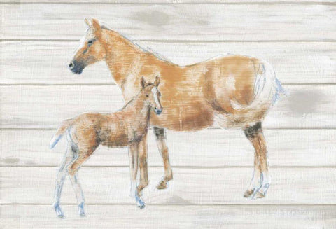 Horse and Colt on Wood White Modern Wood Framed Art Print with Double Matting by Adams, Emily