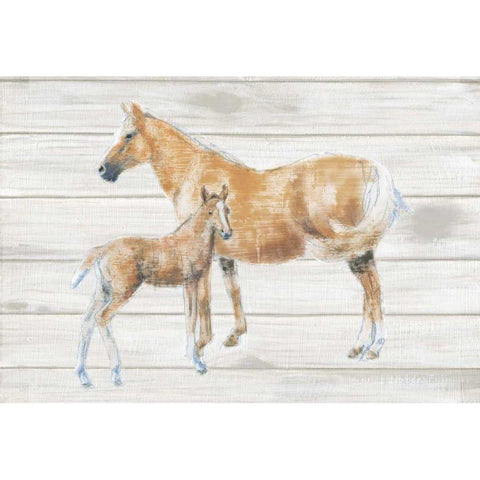 Horse and Colt on Wood Gold Ornate Wood Framed Art Print with Double Matting by Adams, Emily