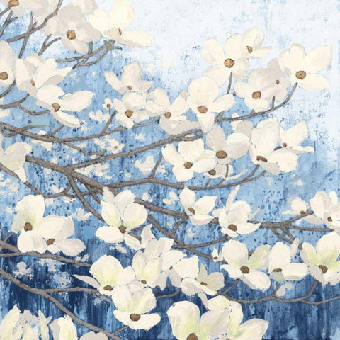 Dogwood Blossoms II Indigo White Modern Wood Framed Art Print by Wiens, James