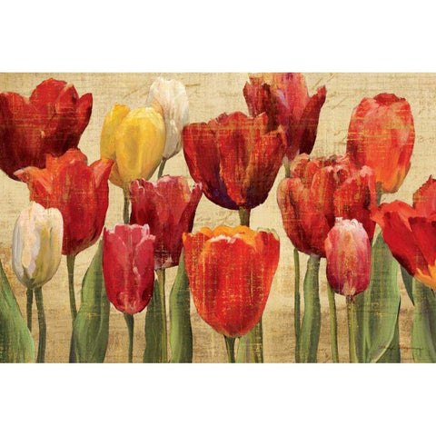 Tulip Fantasy on Cream Black Modern Wood Framed Art Print with Double Matting by Hageman, Marilyn