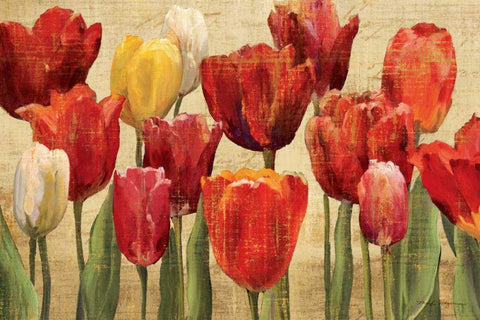 Tulip Fantasy on Cream Black Ornate Wood Framed Art Print with Double Matting by Hageman, Marilyn