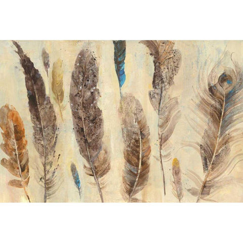 Feather Study Gold Ornate Wood Framed Art Print with Double Matting by Hristova, Albena