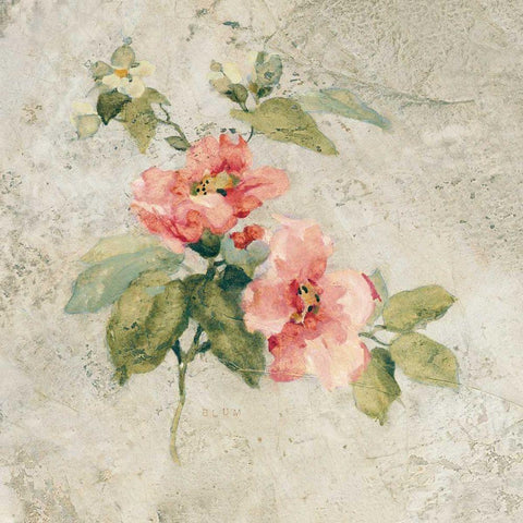 Provence Rose I Red and Neutral Gold Ornate Wood Framed Art Print with Double Matting by Blum, Cheri