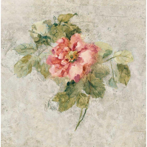 Provence Rose II Red and Neutral Gold Ornate Wood Framed Art Print with Double Matting by Blum, Cheri
