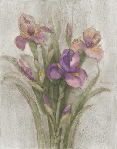 Purple Iris Garden on Grey Black Ornate Wood Framed Art Print with Double Matting by Hristova, Albena