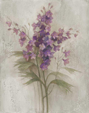 Purple Larkspur Garden on Grey Black Ornate Wood Framed Art Print with Double Matting by Hristova, Albena