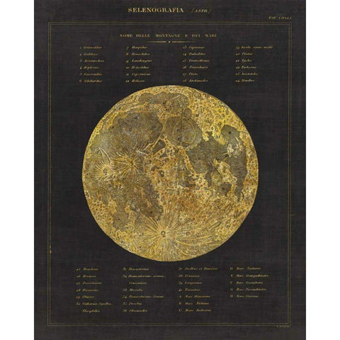 Astronomical Chart I White Modern Wood Framed Art Print by Wild Apple Portfolio