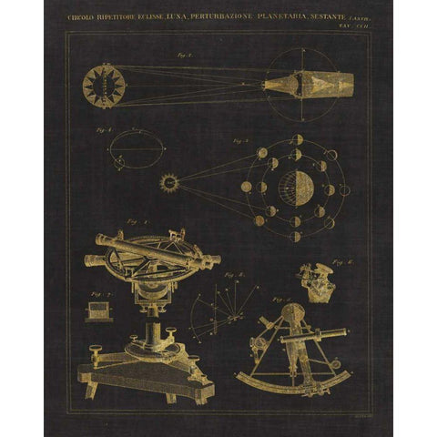 Astronomical Chart II Gold Ornate Wood Framed Art Print with Double Matting by Wild Apple Portfolio
