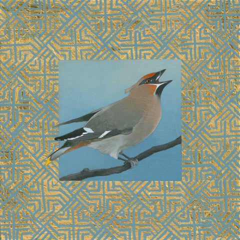 Cedar Waxwing Border Black Ornate Wood Framed Art Print with Double Matting by Lovell, Kathrine