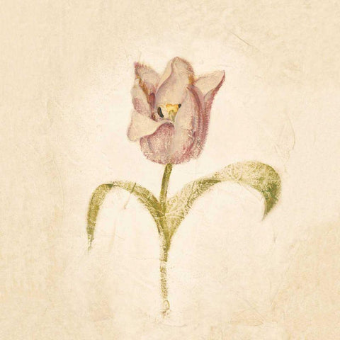 Blue Parrot Tulip on White Crop Gold Ornate Wood Framed Art Print with Double Matting by Blum, Cheri