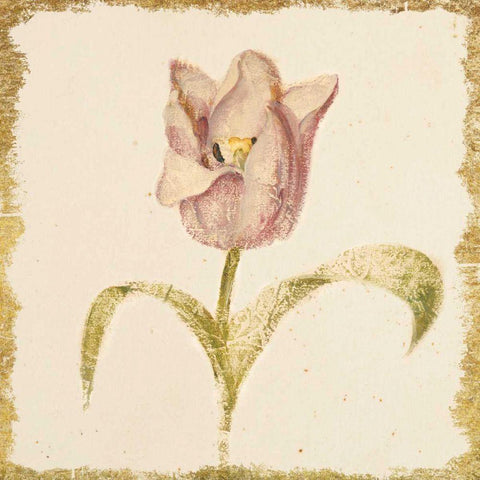 Vintage Blue Parrot Tulip Crop Gold Ornate Wood Framed Art Print with Double Matting by Blum, Cheri