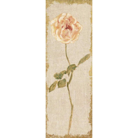 Pale Rose Panel on White Vintage Gold Ornate Wood Framed Art Print with Double Matting by Blum, Cheri