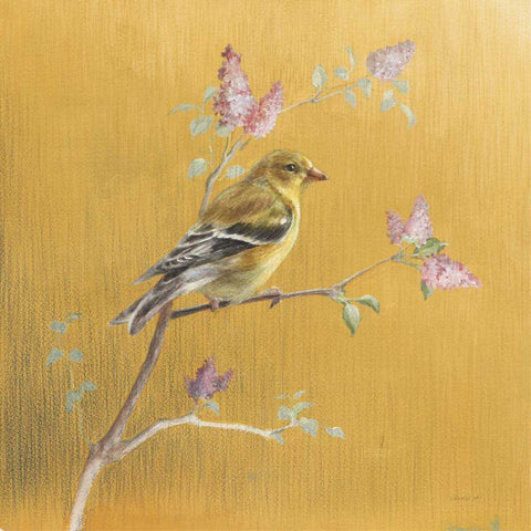 Female Goldfinch on Gold Black Ornate Wood Framed Art Print with Double Matting by Nai, Danhui