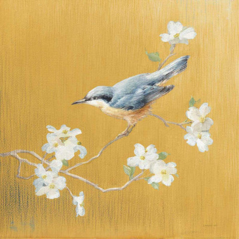 Nuthatch on Gold White Modern Wood Framed Art Print with Double Matting by Nai, Danhui