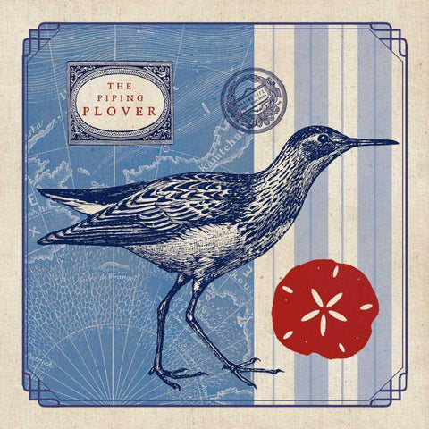 Sea Bird I Black Ornate Wood Framed Art Print with Double Matting by Studio Mousseau