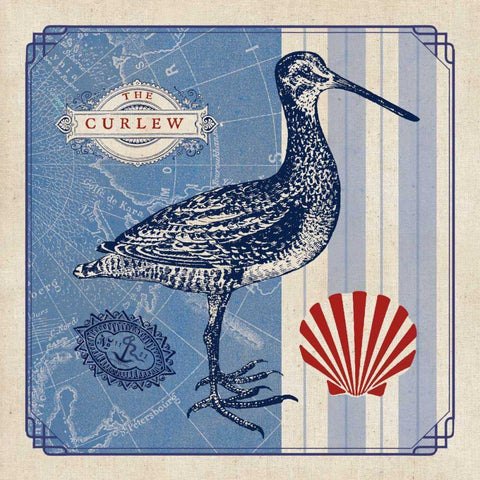 Sea Bird III White Modern Wood Framed Art Print with Double Matting by Studio Mousseau
