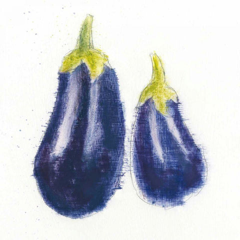 Garden Delight VII Black Ornate Wood Framed Art Print with Double Matting by Adams, Emily