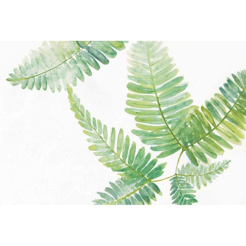 Ferns II Black Modern Wood Framed Art Print with Double Matting by Paschke, Chris