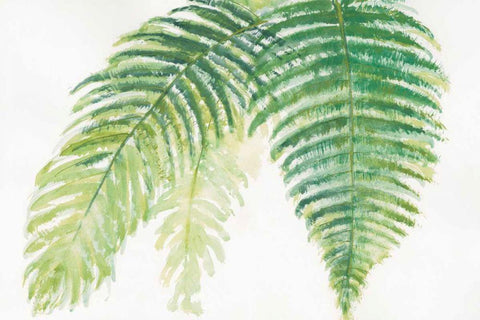 Ferns III White Modern Wood Framed Art Print with Double Matting by Paschke, Chris