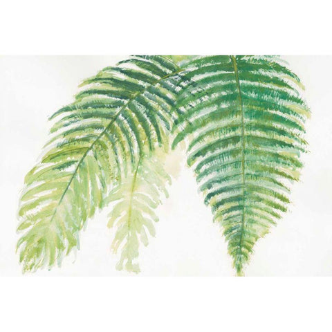 Ferns III Black Modern Wood Framed Art Print by Paschke, Chris