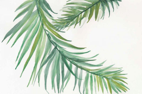 Ferns IV Black Ornate Wood Framed Art Print with Double Matting by Paschke, Chris