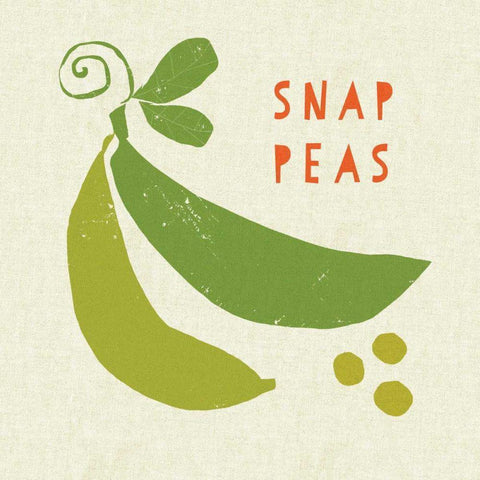 Summer Vegetable III Black Ornate Wood Framed Art Print with Double Matting by Studio Mousseau