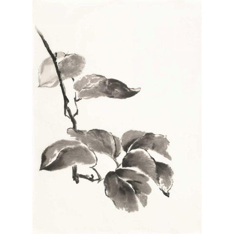 Sumi Kiwi White Modern Wood Framed Art Print by Paschke, Chris