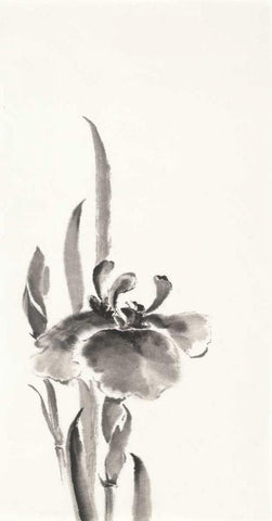 Japanese Iris II Black Ornate Wood Framed Art Print with Double Matting by Paschke, Chris