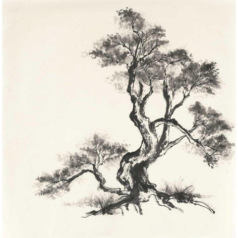 Sumi Tree I Gold Ornate Wood Framed Art Print with Double Matting by Paschke, Chris