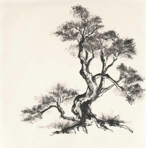Sumi Tree I White Modern Wood Framed Art Print with Double Matting by Paschke, Chris