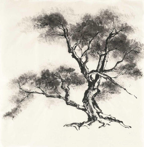 Sumi Tree II White Modern Wood Framed Art Print with Double Matting by Paschke, Chris