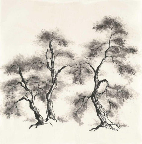 Sumi Tree III Black Ornate Wood Framed Art Print with Double Matting by Paschke, Chris