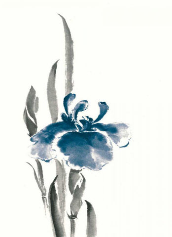 Japanese Iris II Crop Indigo White Modern Wood Framed Art Print with Double Matting by Paschke, Chris