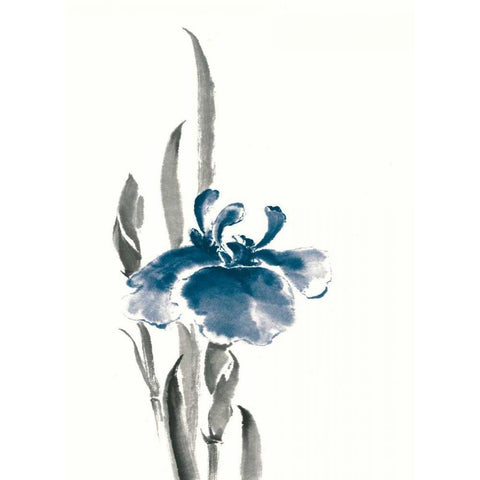 Japanese Iris II Crop Indigo Black Modern Wood Framed Art Print by Paschke, Chris