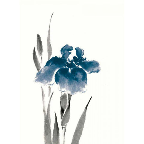 Japanese Iris III Crop Indigo Black Modern Wood Framed Art Print by Paschke, Chris