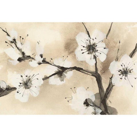 Spring Blossoms I Crop White Modern Wood Framed Art Print by Paschke, Chris