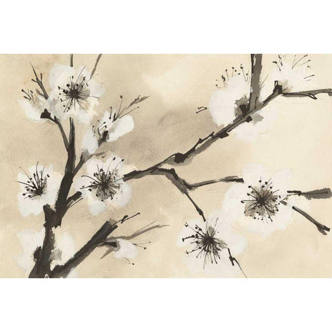 Spring Blossoms II Crop White Modern Wood Framed Art Print by Paschke, Chris