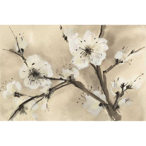 Spring Blossoms III Black Modern Wood Framed Art Print by Paschke, Chris