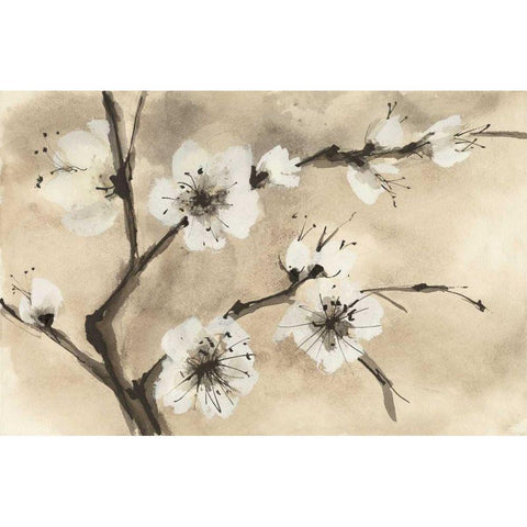 Spring Blossoms IV White Modern Wood Framed Art Print by Paschke, Chris