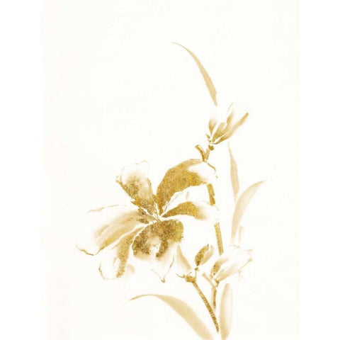Sumi Daylily IV Gold Gold Ornate Wood Framed Art Print with Double Matting by Paschke, Chris