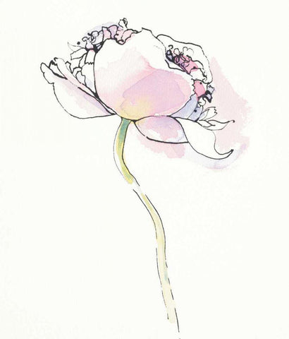 Single Pink Somniferums I on White Black Ornate Wood Framed Art Print with Double Matting by Novak, Shirley